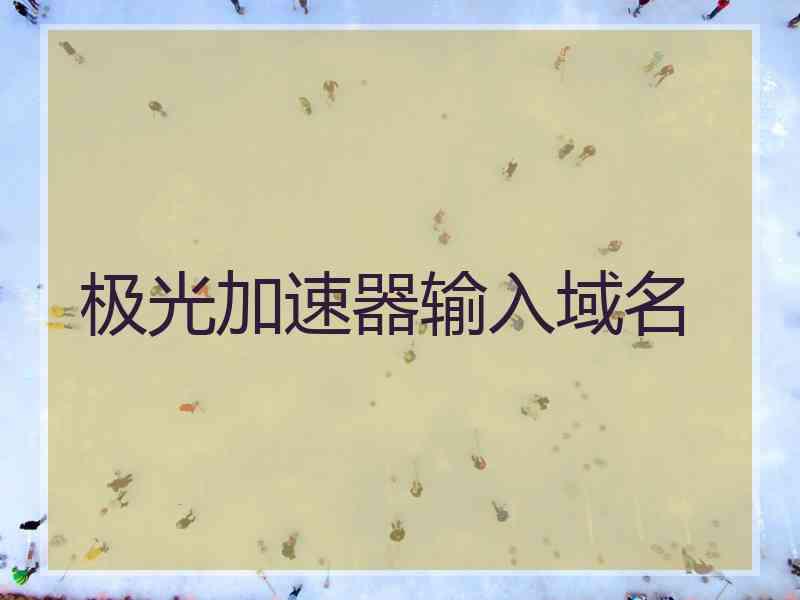 极光加速器输入域名