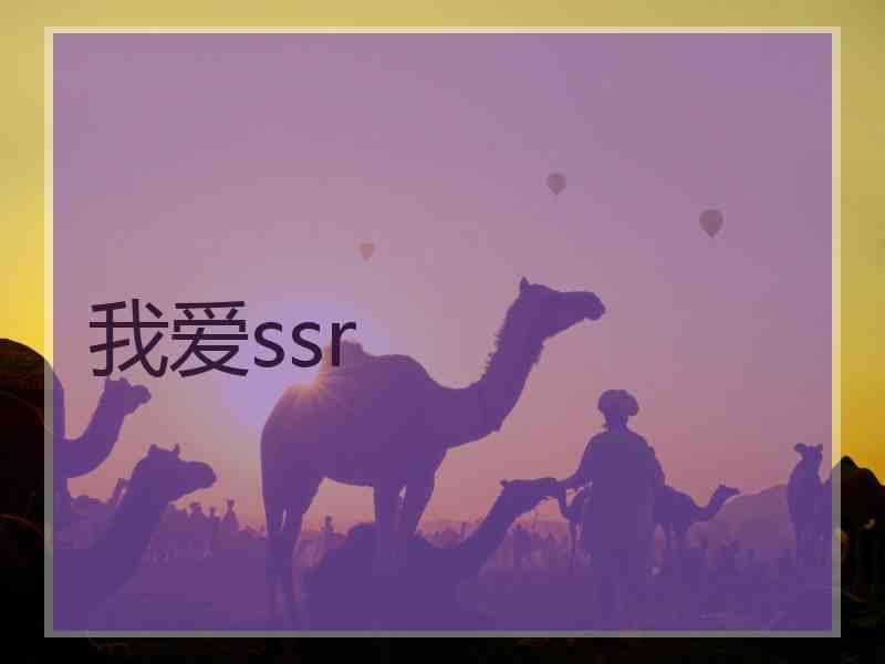我爱ssr