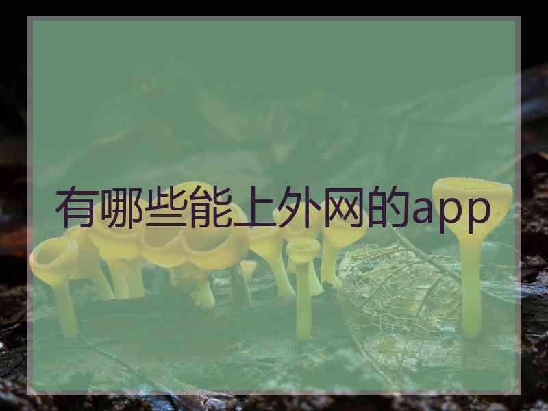 有哪些能上外网的app