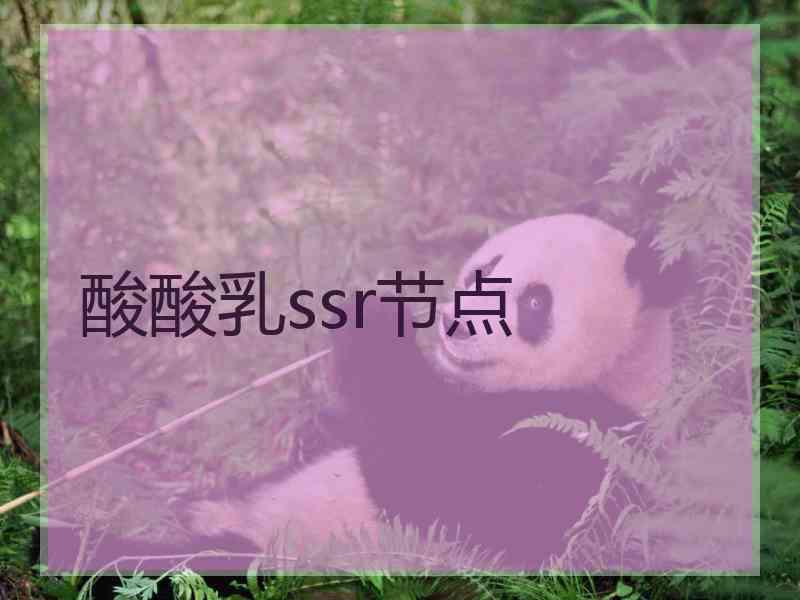 酸酸乳ssr节点