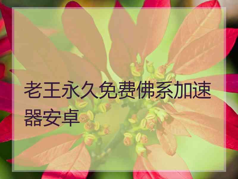 老王永久免费佛系加速器安卓