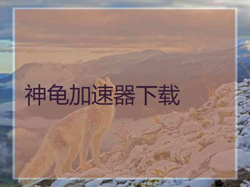 神龟加速器下载