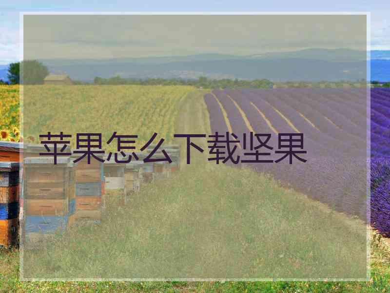 苹果怎么下载坚果