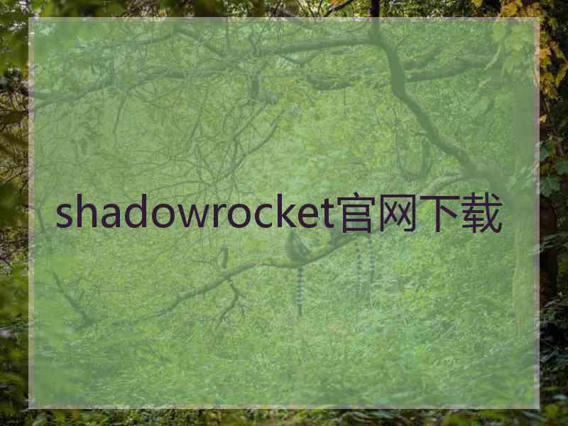 shadowrocket官网下载