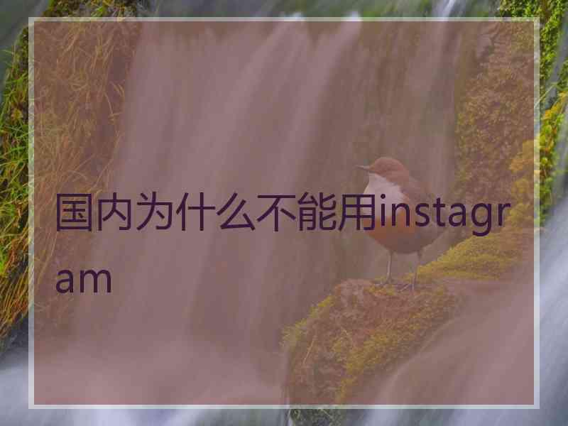 国内为什么不能用instagram