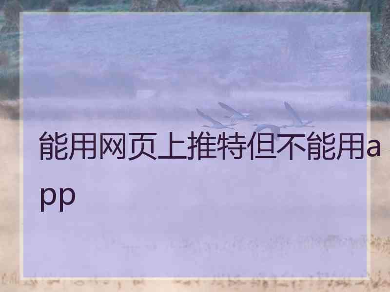 能用网页上推特但不能用app
