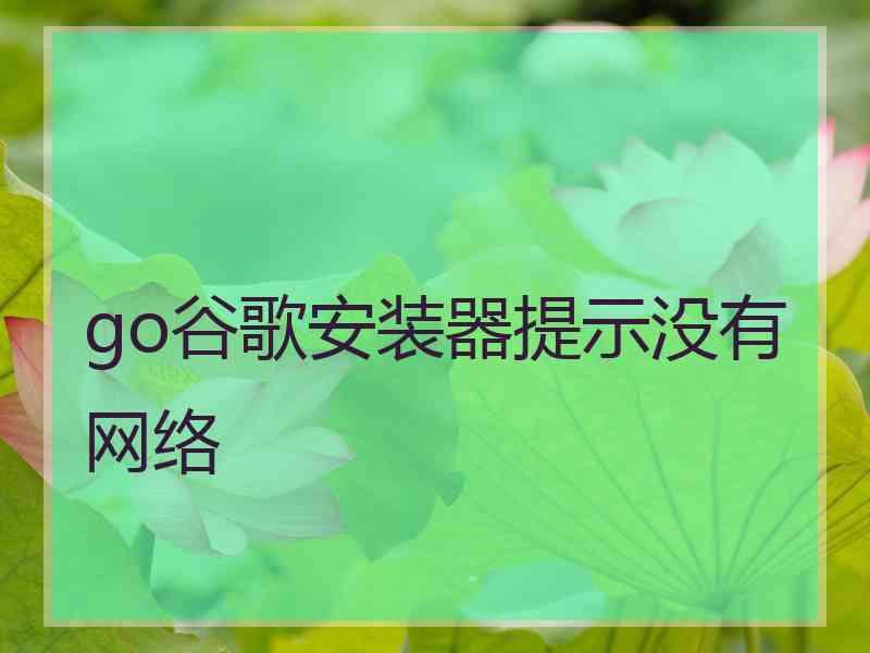 go谷歌安装器提示没有网络