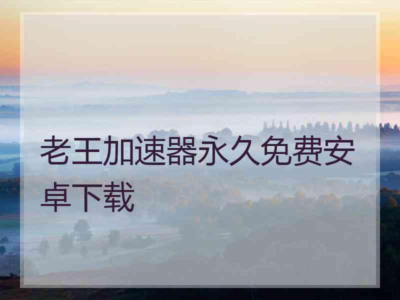 老王加速器永久免费安卓下载