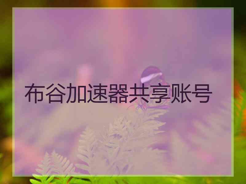 布谷加速器共享账号