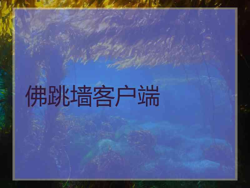佛跳墙客户端