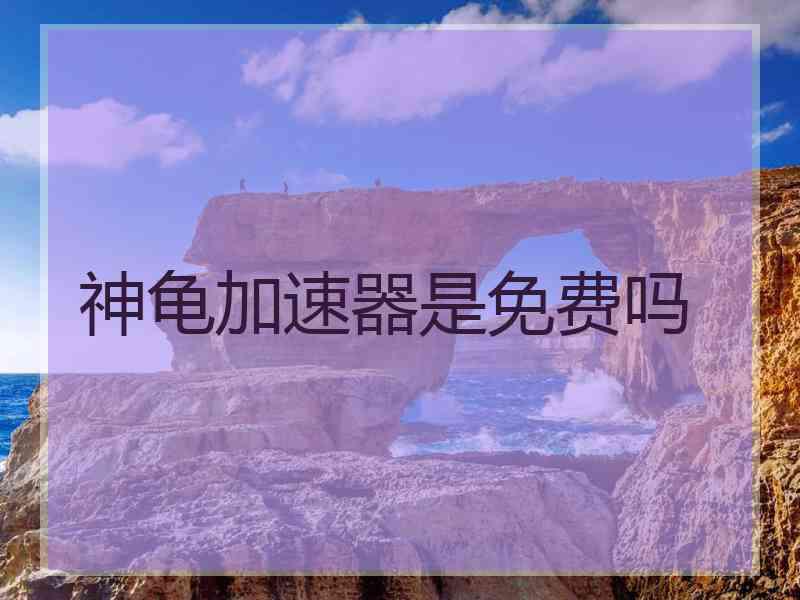 神龟加速器是免费吗