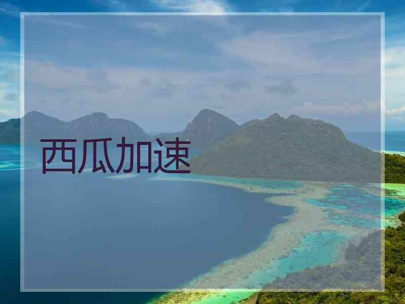 西瓜加速