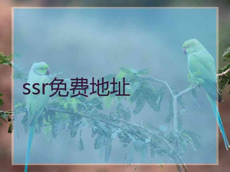 ssr免费地址