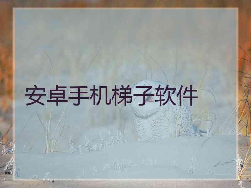 安卓手机梯子软件