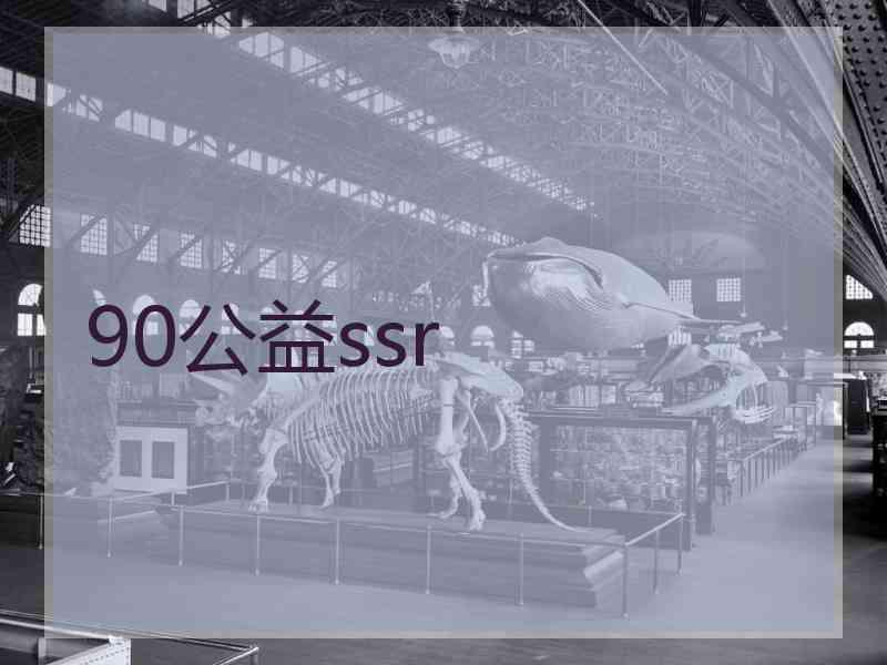 90公益ssr