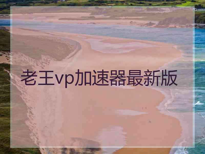 老王vp加速器最新版