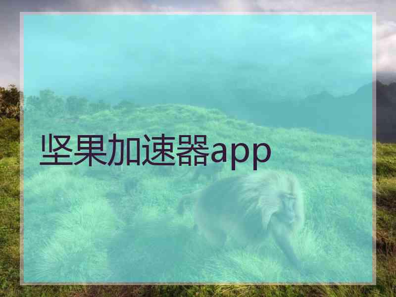 坚果加速器app