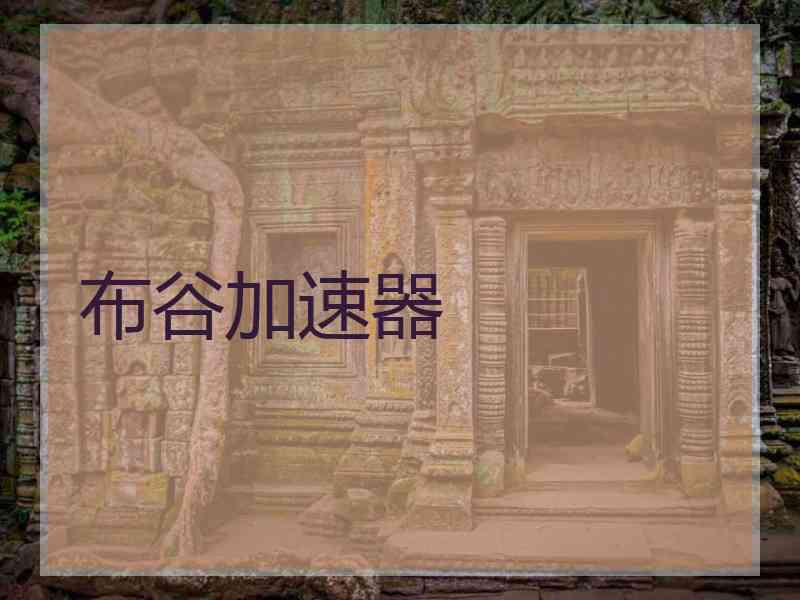 布谷加速器