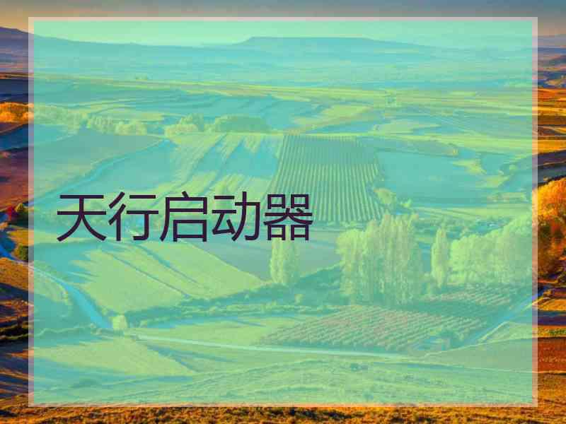 天行启动器
