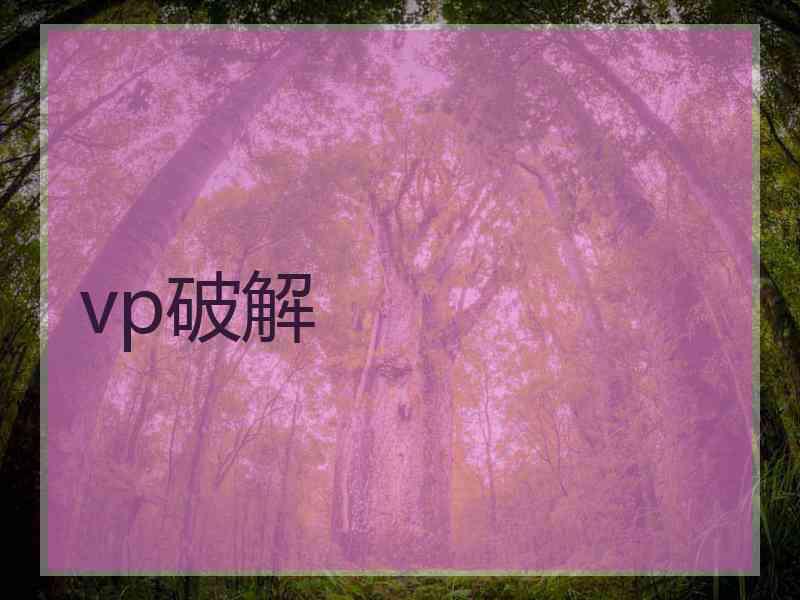 vp破解
