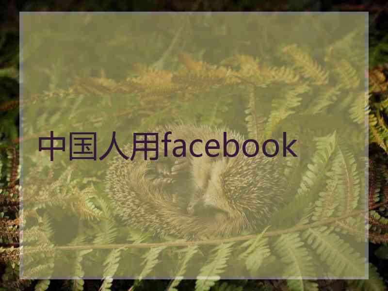 中国人用facebook