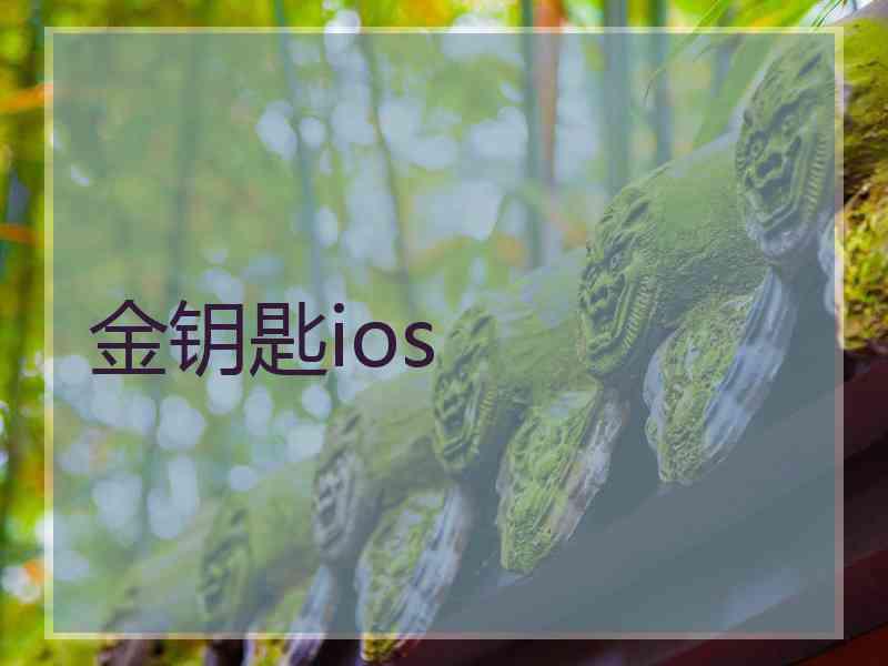 金钥匙ios