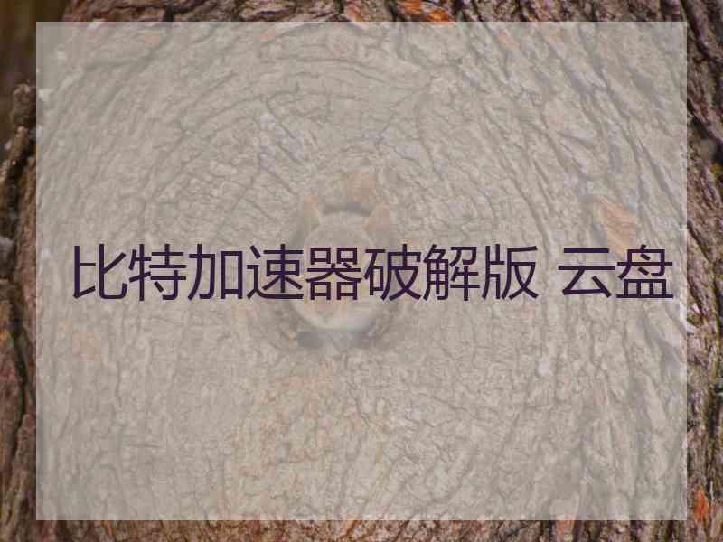 比特加速器破解版 云盘