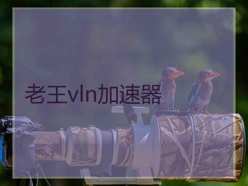 老王vln加速器