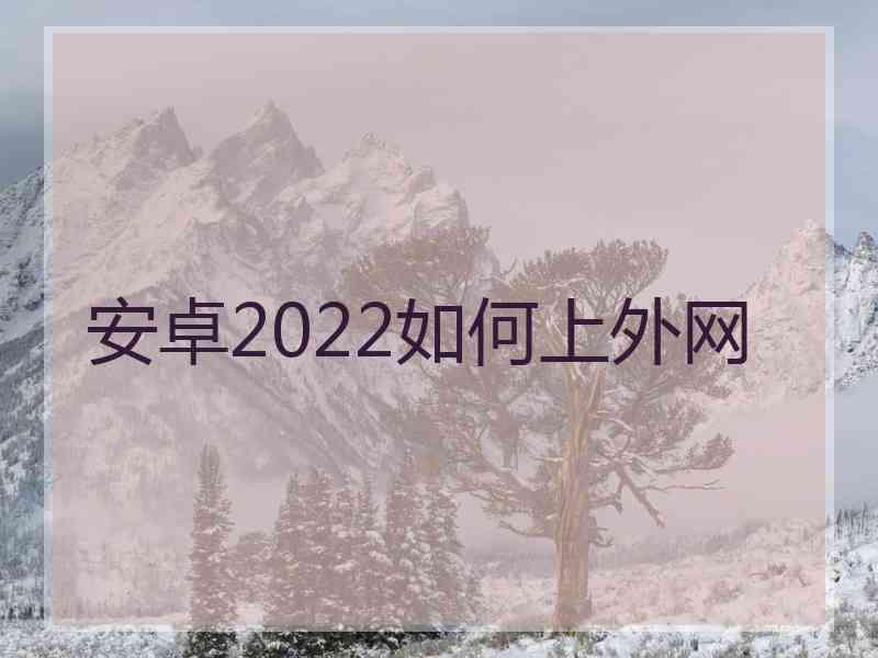 安卓2022如何上外网