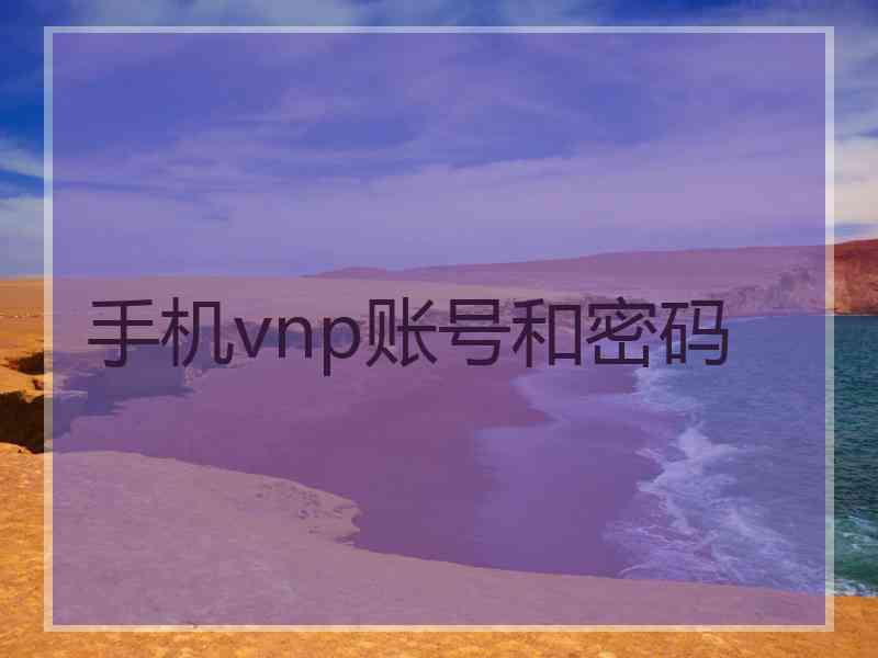 手机vnp账号和密码