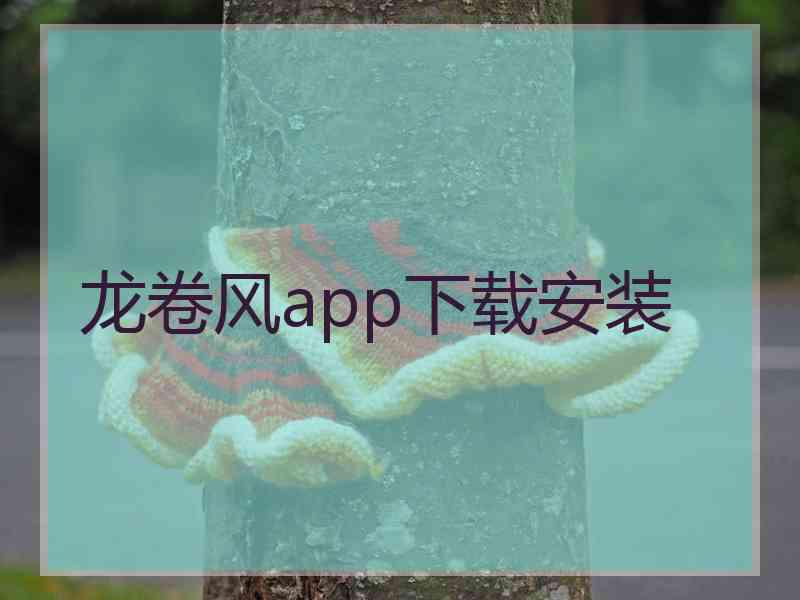 龙卷风app下载安装