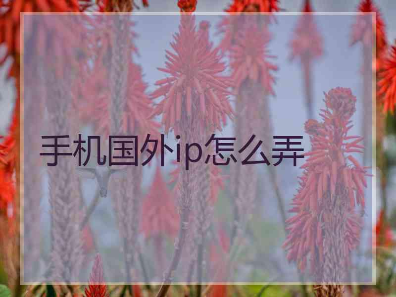 手机国外ip怎么弄