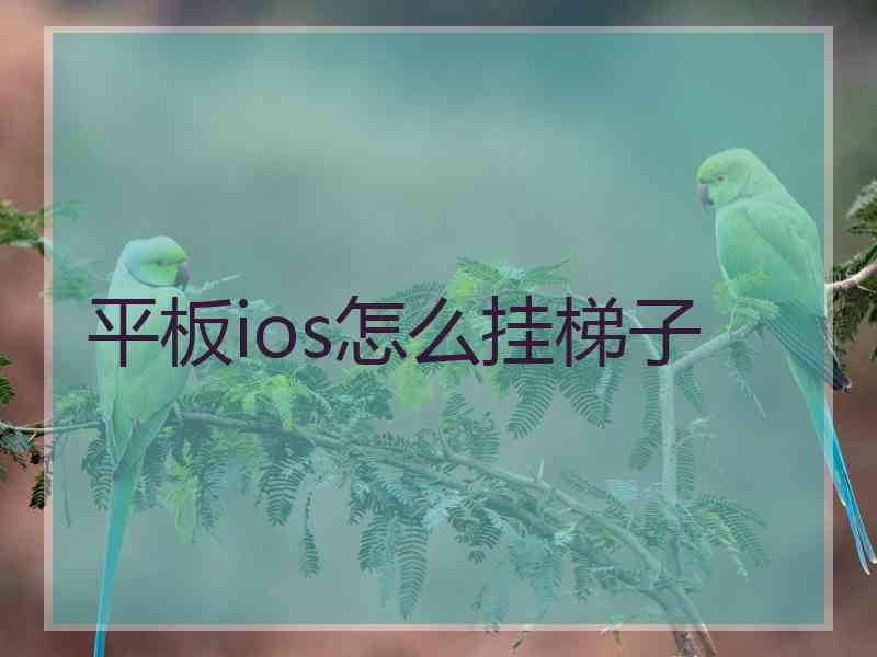 平板ios怎么挂梯子