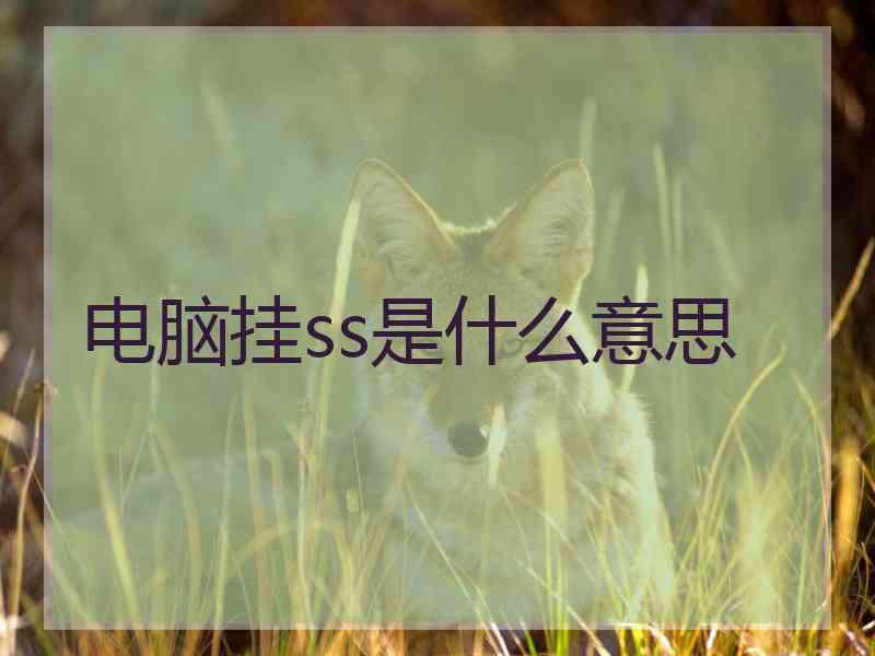 电脑挂ss是什么意思