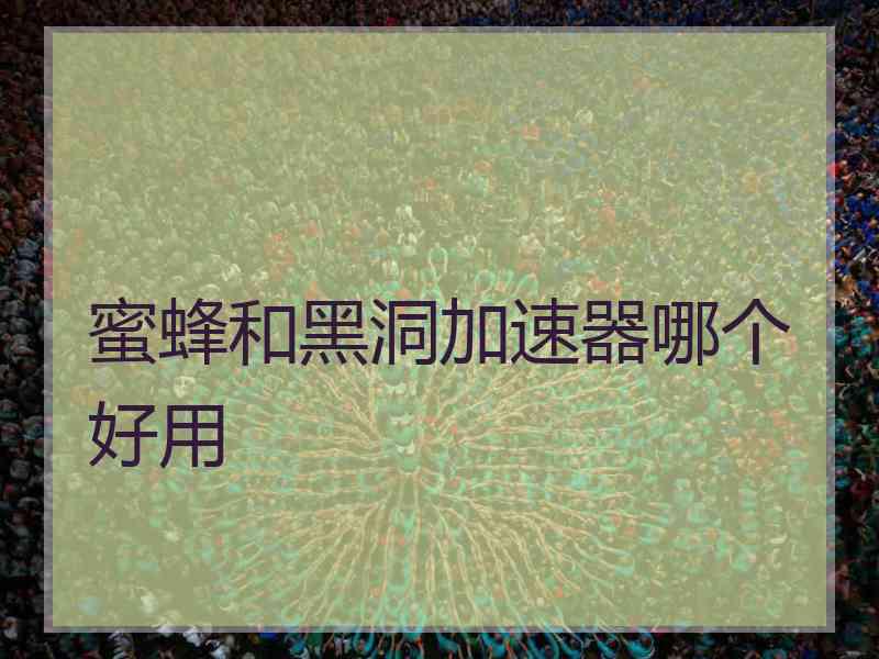 蜜蜂和黑洞加速器哪个好用